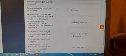 Прочитай описание процесса исследования целебных свойств ромашки в левом столбце и соедини название