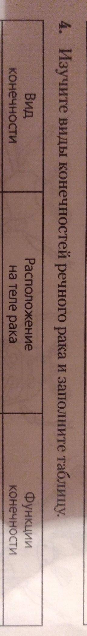 Изучите виды конечностей речного рака и заполните таблицу. ​