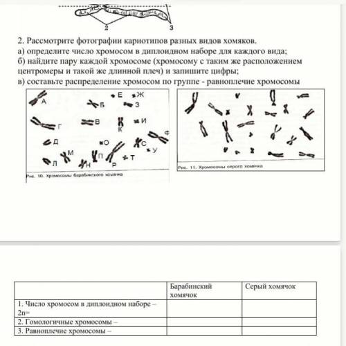 со 2 заданием. Заранее