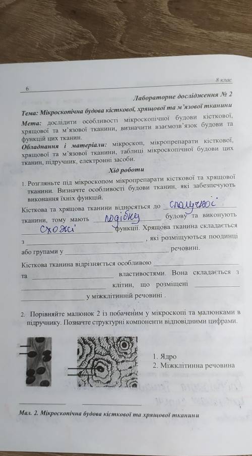 8 клас 6Лабораторне дослідження № 2Тема: Мікроскопічна будова кісткової, хрящової та м'язової тканин