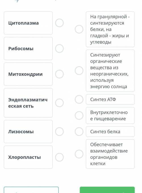 Установите соответствие между органоидом клетки и его выполняемой функцией. ​