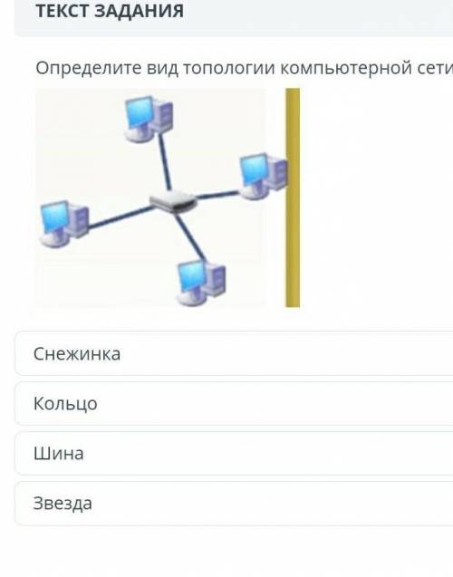 Определите вид топологии компьютерной сети​