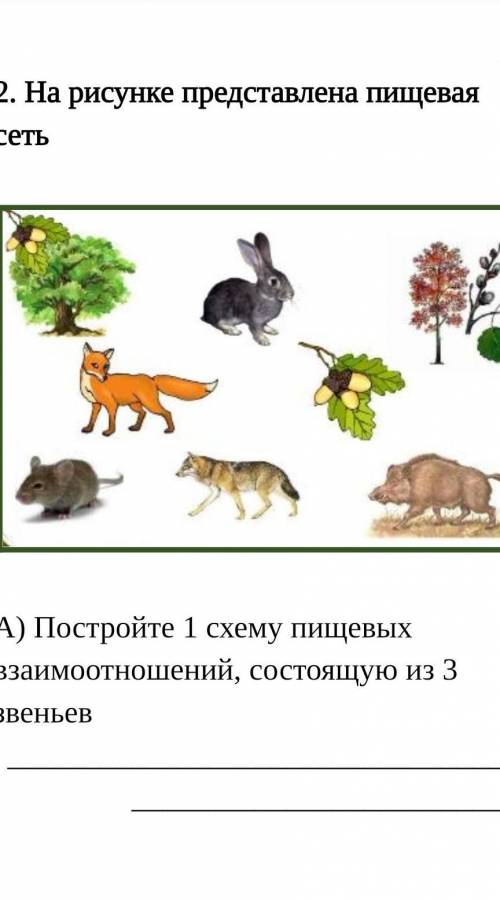 . На рисунке представлена пищевая сеть А) Постройте 1 схему пищевых взаимоотношений, состоящую из 3