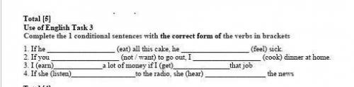 Complete the I conditional sentences with the correct form of the verbs in brackets​