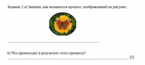 А)Запишите как называется процесс, изаброженный на рисунке. б)Что происходит в результате этого проц