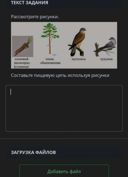 Рассмотрите рисунки. сосновый сосна пустельга кукушка обыкновенная шелкопряд (гусеница) Составьте пи