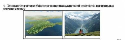 Суреттерге бейнеленген нысандардың тиісті нерархиялық дейнгейін атаңыз​ Көмек керек