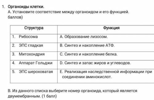 сделать соч 9 класс ​