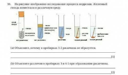Объясните различия в пробирках 3 4 5 при образовании ржавчины​