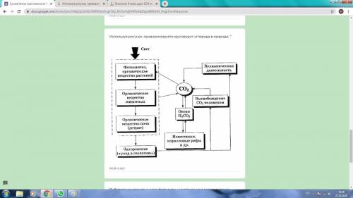 Используя рисунок, проанализируйте круговорот углерода в природе.​