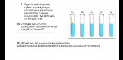 Задание 4 ә) а) не нужна​