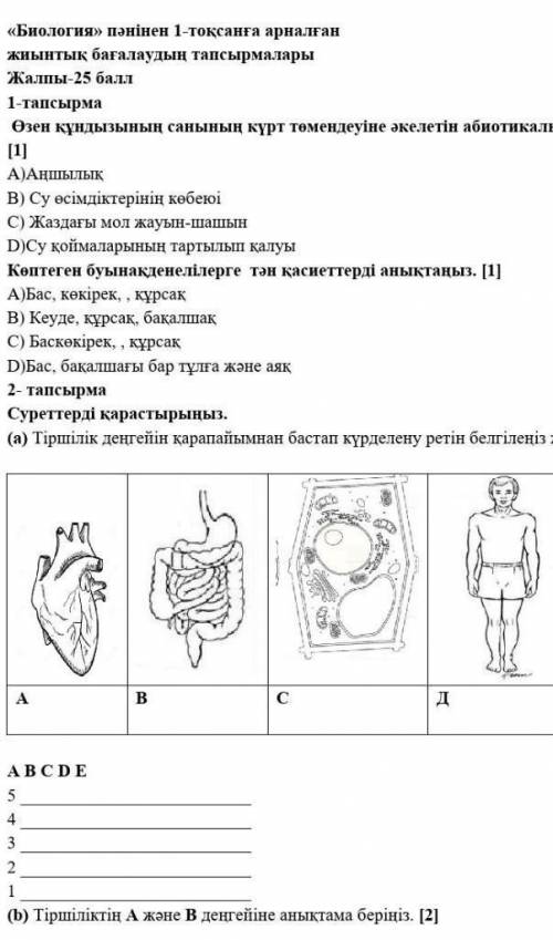 скока хотите стока дам​