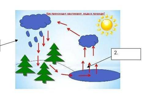 Дополните рисунок-схему:​