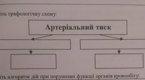 Графологічна схема артеріального тиску​