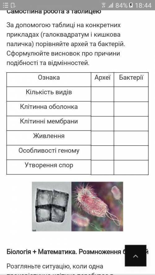 Порівняйте Археї та Бактерії на прикладі галоквардатума і кишкової палички (за до таблиці)