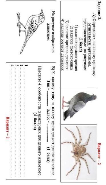 Задание 3. Вариант - 2A) Определите, по какому признакуотличаются организмы,представленные на рисунк
