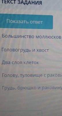 Большинство моллюсков имеютЭто СОЧ по биологии дайте правильный ответ​