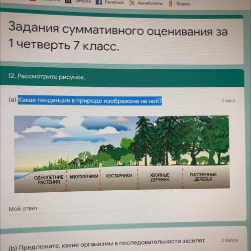 12. Рассмотрите рисунок. (а) Какая тенденция в природе изображена на ней? ОДНОЛЕТНИЕ МНОГОЛЕТНИКИ Р