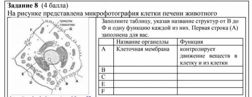 На рисунке представлена микрофотография клетки печени животного. Заполните таблицу, указав название