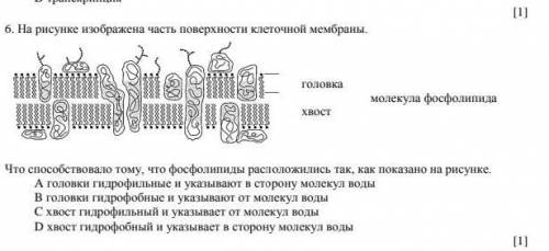 класс ЕМН СОЧ биология​