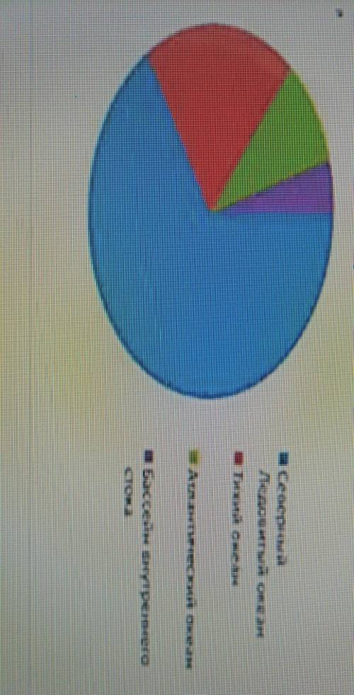 Какую информацию дает нам это круговая диаграмма? (напишите 4-5предложение )​