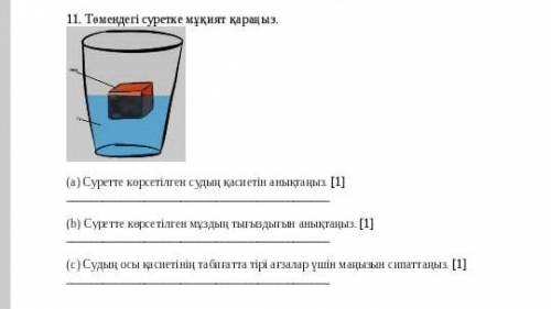 Беріңдерші бүгін керек азір десемде болады