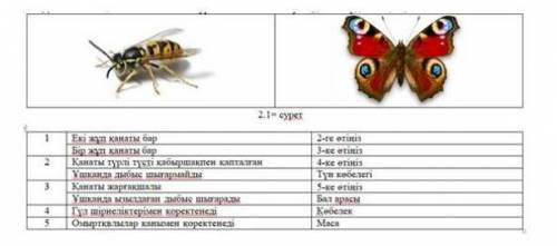 Дихотомиялық кілт көмегімен 2.1 суретте бейнеленген бунақденелілерді анықта.​