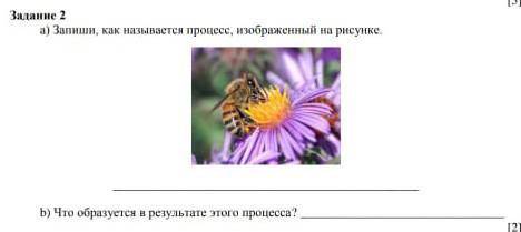 Задание 2 а) Запиши, как называется процесс, изображенный на рисункеb) Что образуется в результате э