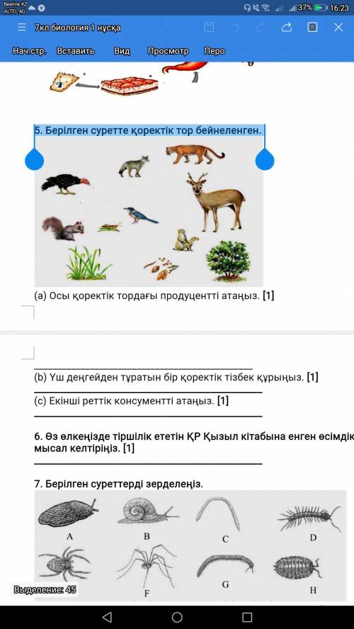 5. Берілген суретте қоректік тор бейнеленген. Айтындарш ьерем