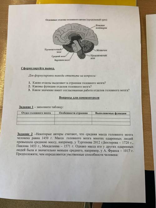 с лабораторной по биологии изучение функций отделов головного мозга