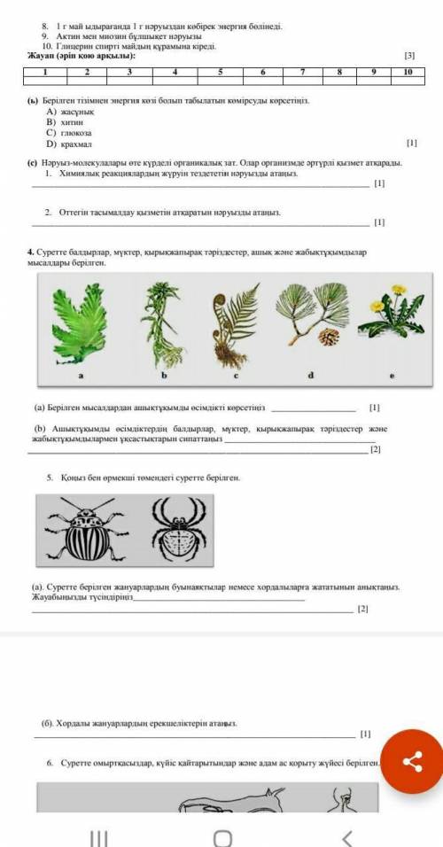 соч биология 8 класс​