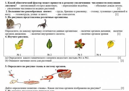 с заданием нужно ответе