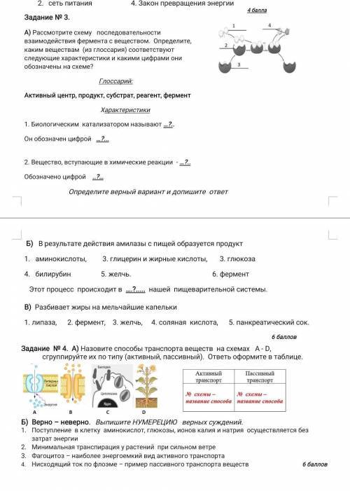 СОЧ по биологии 9 класс