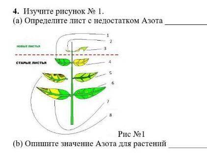 4. Изучите рисунок № 1. (а) Определите лист с недостатком Азота(b) Опишите значение Азота для растен