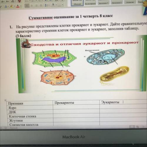 1. На рисунке представлены клетки прокариот и эукариот. Дайте сравнительную характеристику строения