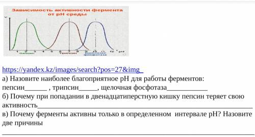 Биология Соч 10 класс