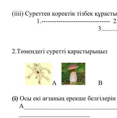 Төмендегі суретті қарастырыңыз