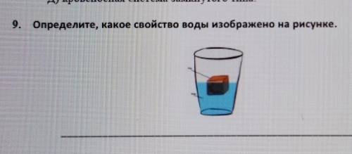 9. Определите, какое свойство воды изображено на рисунке.