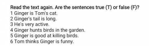 Read the text again. Are the sentences true (1) or false (F)? 1 Ginger is Tom's cat.2 Ginger's tail