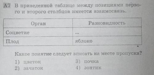 ￼￼￼В приведённые таблицы между позициями первого и второго столбцов имеется взаимосвязь.￼￼