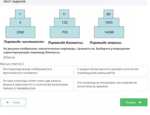 решить , Нужно сдавать