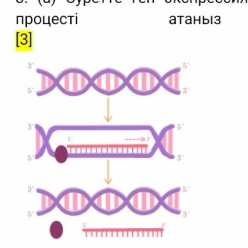 Это что за процесс???