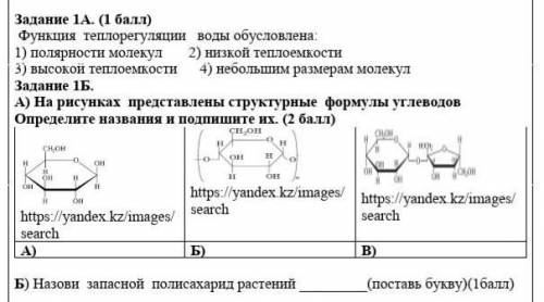 хотябы на тест все равно ​