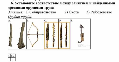 6. Установите соответствие между занятием и найденными древними орудиями труда