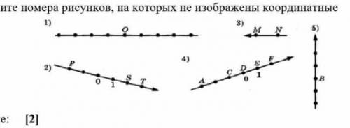 4. Запишите номера рисунков, на которых не изображены координатные прямые Побыстрей