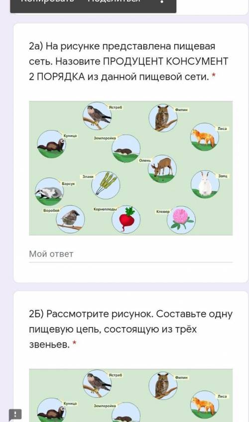 На рисунке представлена пищевая сеть. Назовите ПРОДУЦЕНТ КОНСУМЕНТ 2 ПОРЯДКА из данной пищевой сети​