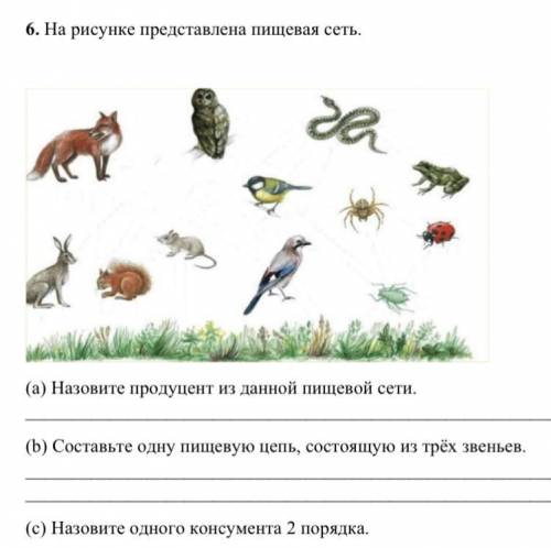 На рисунке представлена пищевая сеть. (а) Назовите продуцент из данной пищевой сети. [1] (b) Составь