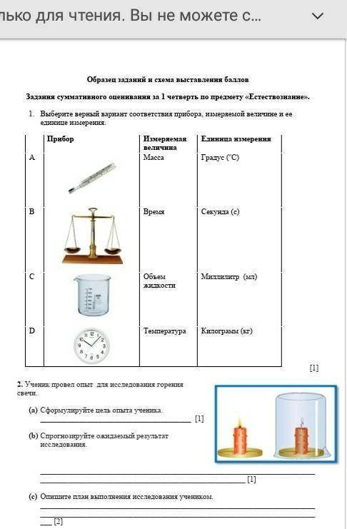 соч по естествознанию ​