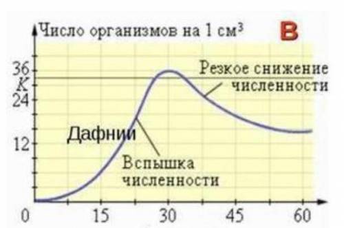 выберите утверждения характеризующие кривую роста в популяции дафнийверных ответов 2:а)нет стабильно