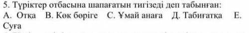 Түріктер отбасына шапағатын тигізеді деп табылған?​